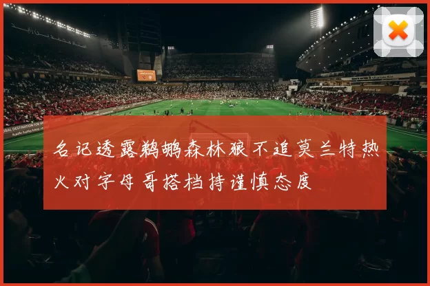 名记透露鹈鹕森林狼不追莫兰特热火对字母哥搭档持谨慎态度
