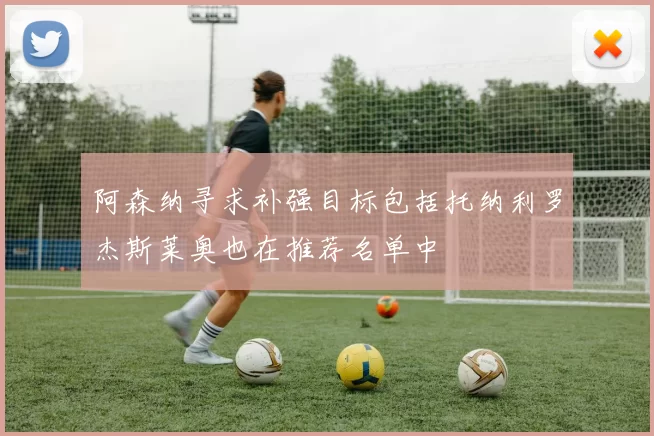 阿森纳寻求补强目标包括托纳利罗杰斯莱奥也在推荐名单中
