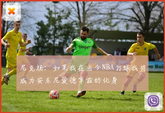 尼克杨：如果我在当今NBA打球我将成为安东尼爱德华兹的化身