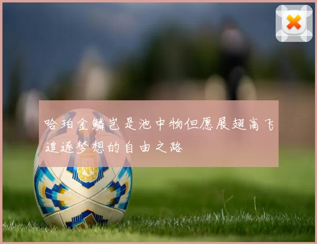 哈珀金鳞岂是池中物但愿展翅高飞追逐梦想的自由之路